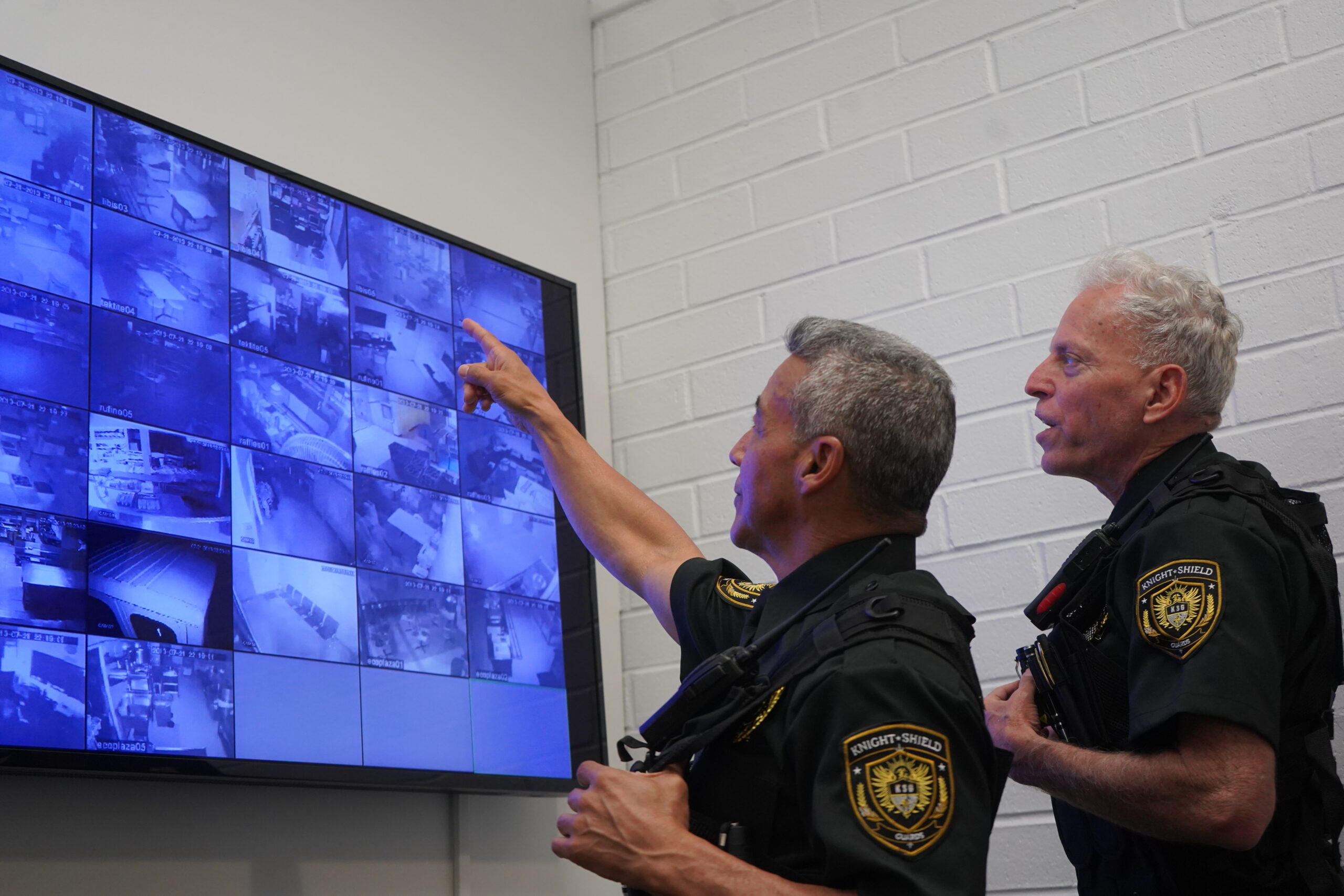 Video Monitoring