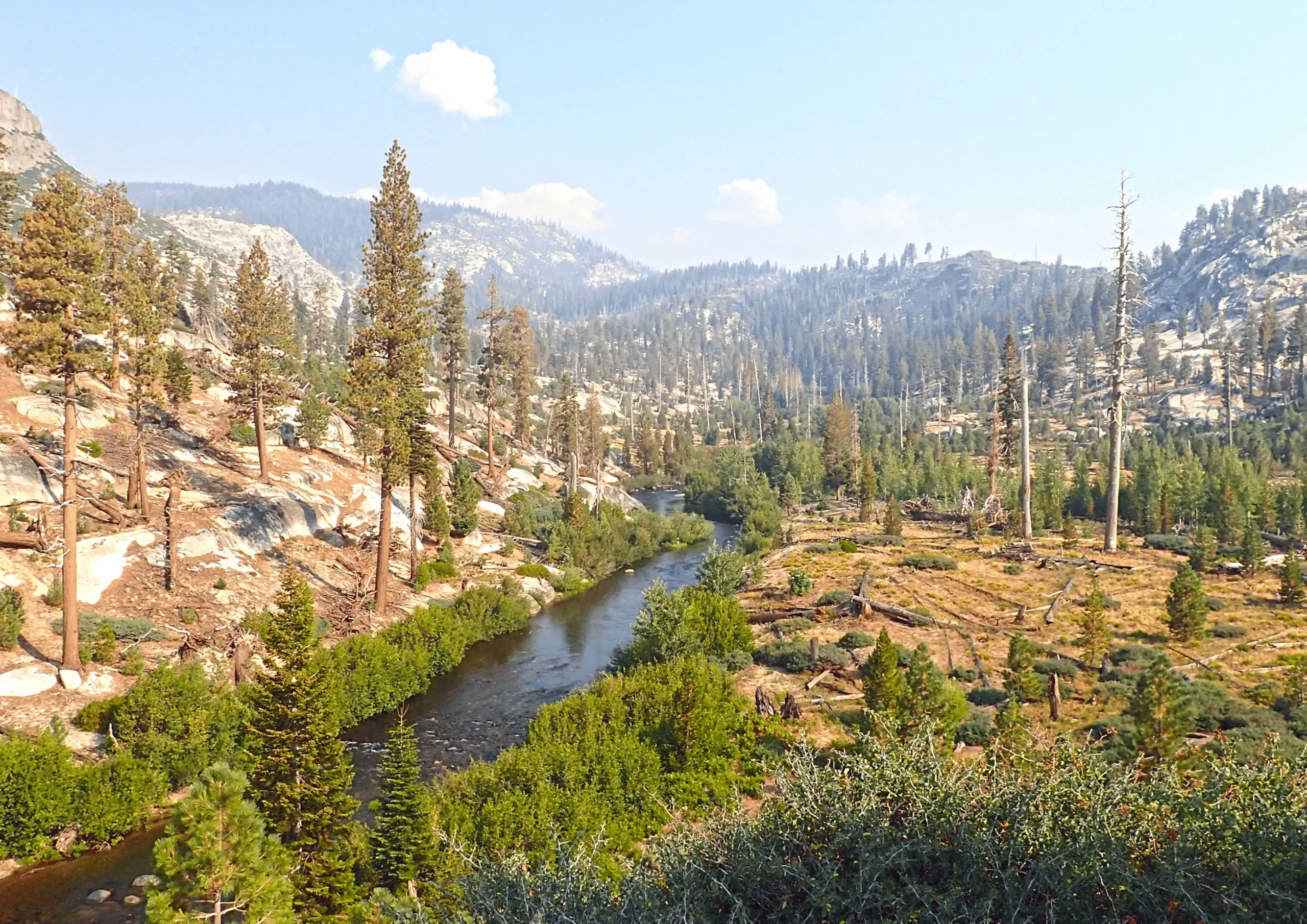 SAN JOAQUIN
